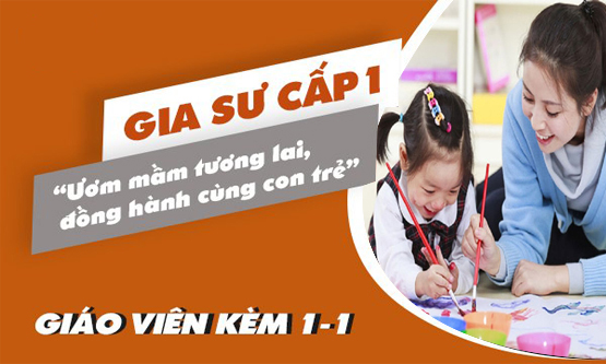 gia sư cấp 1 tại vinh